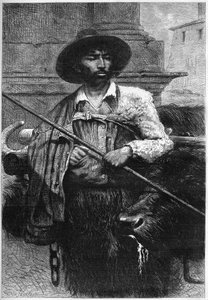 Były rolnik: kierowca bawołów (hodowla bawołów na mozzarellę) Grawer w „”The Illustrous World”” autorstwa Unknown artist