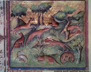 Drób polujący na lisy. Miniatura z rękopisu „Le livre de la chasse” (folio 34v) Gastona Phoebusa (1331-1391) dit Gaston III Comte De Foix autorstwa Unknown artist