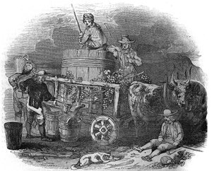 Kombajn w Pola (Pula) (Istria) w Chorwacji w XIX wieku. autorstwa Unknown artist