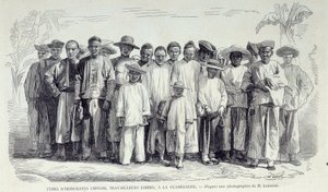 Historia kolonii francuskich: Chińscy imigranci pracujący na Gwadelupie. Rysunek po fotografii z końca XIX wieku Chartres musee des Beaux Arts autorstwa Unknown artist