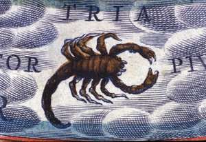 Horoskop: znak zodiaku, Skorpion. autorstwa Unknown artist
