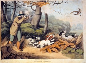 Polowanie na bażanty w Anglii. Grawerowanie z XIX wieku. Gien, muzeum polowań autorstwa Unknown artist