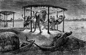 Ilustracja "The Naturalist on the River Amazon" autorstwa Henry