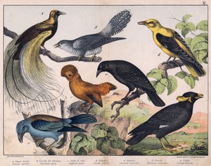  autorstwa Unknown Artist