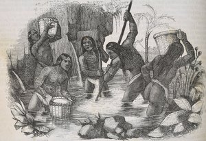 Indianie z wyspy Hispaniola płukają po złoto autorstwa Unknown artist