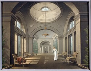 Wnętrze woliery w pałacu w Pawłowsku. Anonimowe malowanie. Akwarela i tusz, połowa XIX wieku. Klasycyzm. Państwowe Muzeum na Wolnym Powietrzu Pałac Pawłowsk, Sankt Petersburg. autorstwa Unknown artist