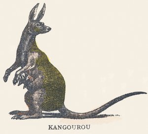 K: kangur autorstwa Unknown artist