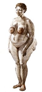 La Venus Hottentote, kobieta rasy Bochiman (The Hottentot Venus), grawerowanie z 1815 roku. autorstwa Unknown artist