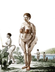 La Venus Hottentote, kobieta rasy Bochiman (The Hottentot Venus), grawerowanie z 1815 roku. autorstwa Unknown artist