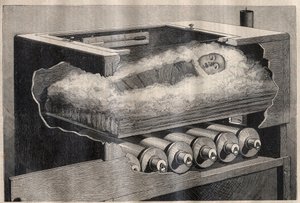 Sztuczne macierzyństwo: inkubator dzieci - Grawerowanie w „La Science francaise” autorstwa Unknown artist