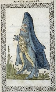 Jeżowiec - w „”Nawyki i wizerunki”” Jeana Sluperiusa autorstwa Unknown artist