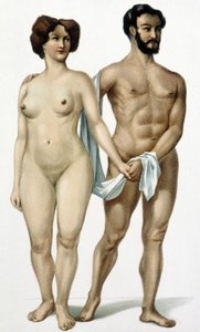 Mężczyzna i kobieta - księga lekarska, koniec XIX wieku autorstwa Unknown artist