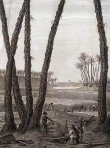 Memphis, widok ruin (naukowcy i pracujący artyści) - w „Opisie Egiptu”, wydaniach cesarskich autorstwa Unknown artist