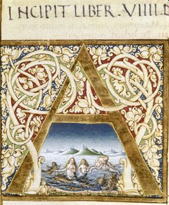 Miniatura przedstawiająca syreny. Litera „A” – w „Naturis Historiae” Pliniusza Starszego (23-79), wyd. 1480. Biblioteka Wiktorii i Alberta autorstwa Unknown artist