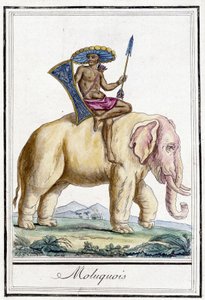 Molucquois człowiek na słoniu (Wyspy Moluki, Indonezja). autorstwa Unknown artist