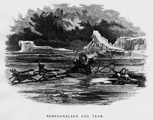 Biegun północny: pies zaprzęgowy unoszący człowieka spada przez lód - Elisha Kent Kane, Arctic Explorations w latach 1853-1855, Filadelfia, Childs i Peterson autorstwa Unknown artist