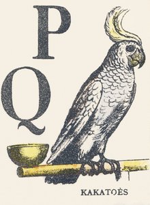 P Q: kokosy autorstwa Unknown artist