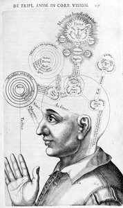 Obraz fizjonomii (frenologia) z Dzieł zebranych Roberta Fludda (Robertus de Fludd). Londyn 1617 autorstwa Unknown artist