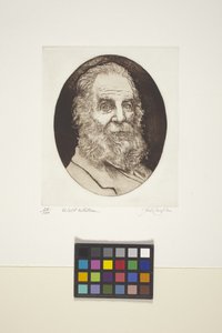 Portret Walta Whitmana (atrament, druk) autorstwa Unknown artist