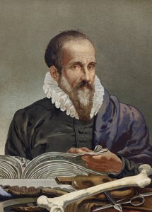 Portret Ambroise Paré (1509-1590), francuskiego chirurga. z „Nauka i jej ludzie” Louisa Figuiera. Barcelona 1881 autorstwa Unknown artist