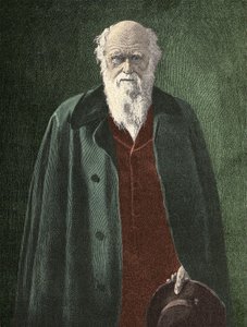 Portret Karola Darwina (1809 - 1882) autorstwa Unknown artist