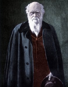 Portret Karola Darwina, brytyjskiego przyrodnika (1809 - 1882) autorstwa Unknown artist