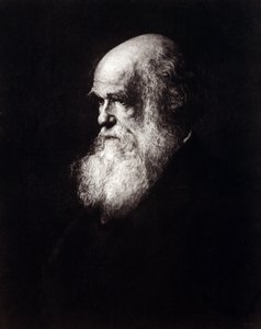 Portret Karola Roberta Darwina (1809 - 1882) autorstwa Unknown artist