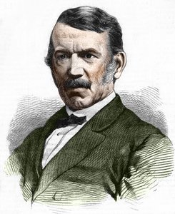 Portret Davida Livingstone