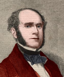 Portret Fitz-Greene (Fitz Greene) Halleck (1790-1867), poeta amerykański. Grawerowanie w „Ilustrowanych wiadomościach londyńskich” z 23 stycznia 1858 r. autorstwa Unknown artist