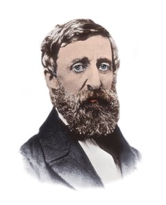 Portret Henry David Thoreau (1817-1862) - amerykański eseista, poeta, filozof, abolicjonista, przyrodnik, przeciwnik podatkowy, krytyk rozwoju, geodeta i historyk autorstwa Unknown artist