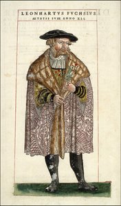 Portret Leonharta Fuchsa: botanik - niemiecki lekarz (1501 - 1566) - w "Historii Stirpium z komentarzami do odznak,..." Leonharta Fuchsa autorstwa Unknown artist