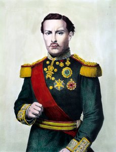 Portret Ludwika I Portugalii (1838-1889) Król Portugalii Rycina z XIX wieku Kolekcja prywatna autorstwa Unknown artist