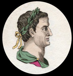 Portret Serviusa Sulpiciusa Galby (3 pne-69 ne), cesarza rzymskiego. Grawerowanie z XIX wieku autorstwa Unknown artist