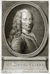 Portret Woltera. Grawerowanie z XIX wieku. autorstwa Unknown artist