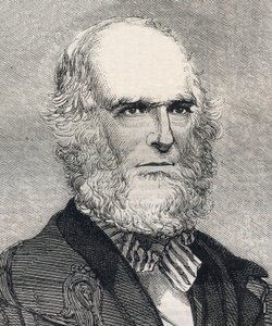 Portret Williama Cullena Bryanta (1794-1878), amerykańskiego poety. Grawerowanie w „Ilustrowanych wiadomościach londyńskich” z 23 stycznia 1858 r. autorstwa Unknown artist