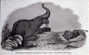 Prehistoria: przedstawienie Dinotherium, typu pachyderm, odpierającego atak lwa. Rycina XIX wieku autorstwa Unknown artist