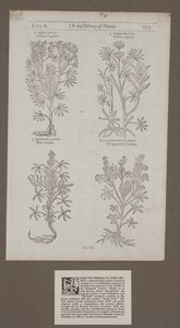Wydrukowana strona 1217 z 