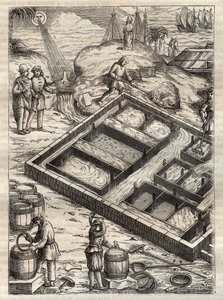 Produkcja soli poprzez odparowanie wody morskiej w panwiach solnych. Z „”De re metallica”” Georgiusa Agricoli (Georg Bauer). (Bazylea 1556) - Produkcja soli: woda morska wlana do dużych misek odparowuje i pozostawia zapas soli. Grawer z „”De re metallica”” autorstwa Unknown artist