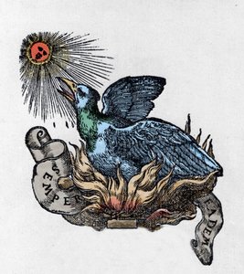 Przedstawienie Feniksa (lub feniksa), legendarnego ptaka, który odrodził się ze swoich popiołów. Rycina XIX wieku autorstwa Unknown artist