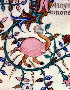 Przedstawienie potwora o ciele strusia i ludzkiej głowie. Miniatura rękopisu z XIV wieku. Mediolan, Biblioteca Nazionale Braidense. autorstwa Unknown artist