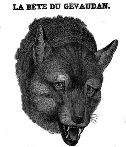 Reprezentacja Bete du Gevaudan. autorstwa Unknown artist