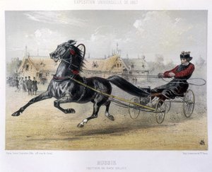 Rosja: Kłusak rasy Orloff - w „Centaur” 1867 autorstwa Unknown artist