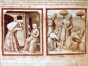 Ruth i Noemi (Naomi, Noemie) pracujące na polach Boaz (Booz) Miniatura z kodeksu 212 (lub kodeks padovano lub Biblia z Padwy) 1390-1400 Rovigo, Accademia dei Concordi autorstwa Unknown artist