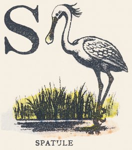 S: szpatułka autorstwa Unknown artist