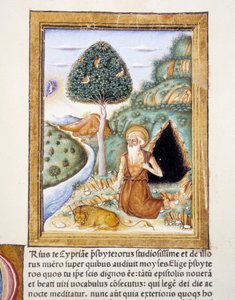 Święty Hieronim - miniatura autorstwa Unknown artist