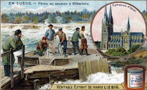 Połów łososia w Elfkarleby, Szwecja. Chromolitografia, obraz Liebiga. autorstwa Unknown artist