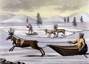 Lapończycy: rdzenni mieszkańcy krajów północnych (Norwegia, Finlandia, Szwecja i Rosja) poruszają się na sankach z reniferami lub na nartach. Rycina XIX wieku autorstwa Unknown artist