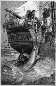 Połów rekinów. (Pesca allo squalo) XIX-wieczne grawerowanie. Prywatna kolekcja. autorstwa Unknown artist