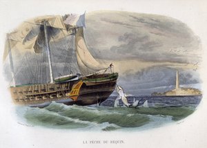 Łowienie rekinów - w „Historii naturalnej Lacepède”” autorstwa Unknown artist