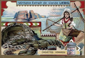 Krewetki i homary, z młodą rybaczką, niosącą swój koszyk i dużą sieć - chromolitografia Liebiga autorstwa Unknown artist